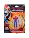 Marvel Legends Spider-Man Across The Spider-Verse Figurina articulata Peter Parker 15cm