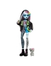 Monster High Papusa Frankie Stein 25 cm