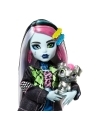 Monster High Papusa Frankie Stein 25 cm