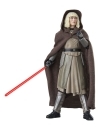 Star Wars: Ahsoka Black Series Figurina articulata Shin Hati (Arcana) 15 cm