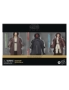 Star Wars Episode I Black Series Set 3 figurine articulate Qui-Gon Jinn, Darth Maul, Obi-Wan Kenobi 15 cm