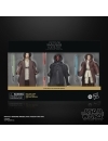 Star Wars Episode I Black Series Set 3 figurine articulate Qui-Gon Jinn, Darth Maul, Obi-Wan Kenobi 15 cm