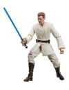 Star Wars Episode I Black Series Set 3 figurine articulate Qui-Gon Jinn, Darth Maul, Obi-Wan Kenobi 15 cm