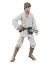 Star Wars Episode IV Black Series Figurina articulata Luke Skywalker 15 cm