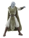 Star Wars Jedi: Survivor Black Series Gaming Greats Figurina articulata Dagan Gera 15 cm