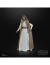 Star Wars: The Acolyte Black Series Figurina articulata Jedi Master Vernestra Rwoh 15 cm