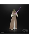 Star Wars: The Acolyte Black Series Figurina articulata Jedi Master Vernestra Rwoh 15 cm