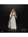 Star Wars: The Acolyte Black Series Figurina articulata Jedi Master Vernestra Rwoh 15 cm