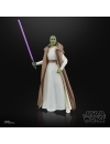 Star Wars: The Acolyte Black Series Figurina articulata Jedi Master Vernestra Rwoh 15 cm