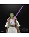 Star Wars: The Acolyte Black Series Figurina articulata Jedi Master Vernestra Rwoh 15 cm