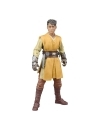 Star Wars: The Acolyte Vintage Collection Figurina articulata Jedi Knight Yord Fandar 10 cm